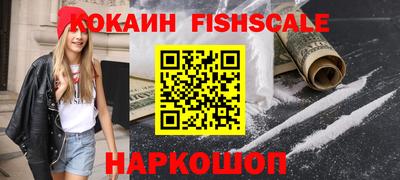 шишки Камышлов