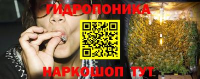 шишки Камышлов