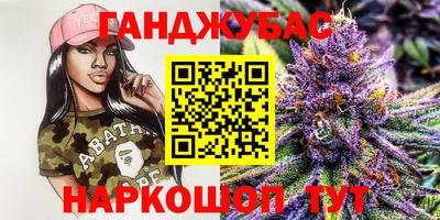 шишки Камышлов