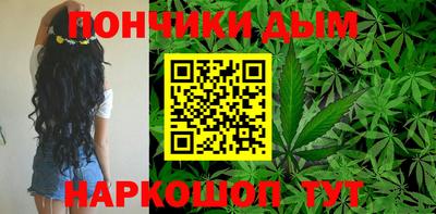 шишки Камышлов