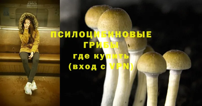 Псилоцибиновые грибы Magic Shrooms Красноперекопск