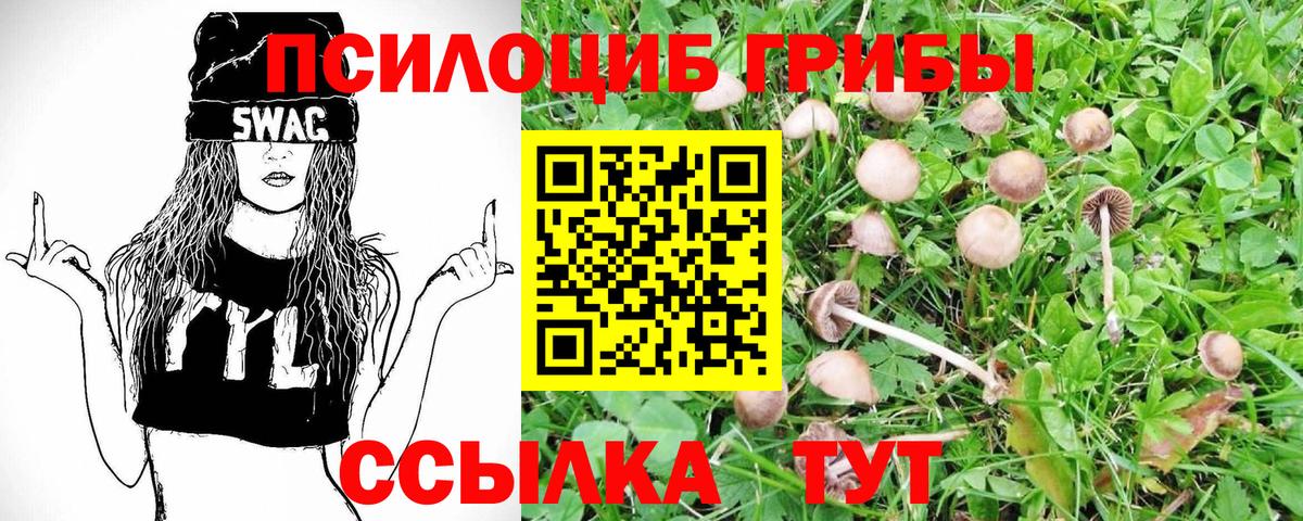 Псилоцибиновые грибы GOLDEN TEACHER  Вход с VPN  Красноперекопск 